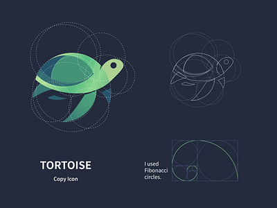 tortoise/乌龟 design ui