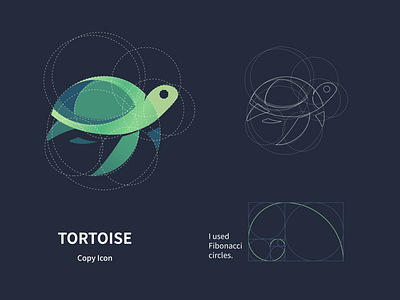 tortoise/乌龟