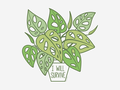 I Will Survive | Monstera Adansonii adansonii caseyillustrates houseplant monstera plant print print design stickermule swiss cheese vector