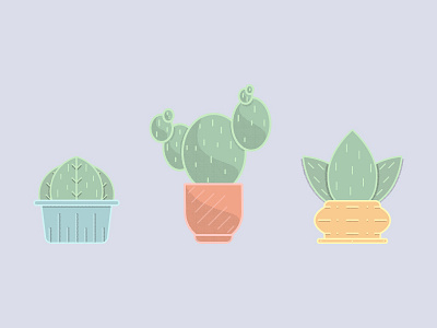 Various Cacti flat illustration orlando vector