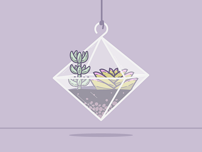 Terrarium | Diamond sedums succulent terrarium