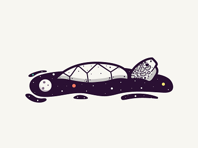 Space Turtle | Timelapse Video