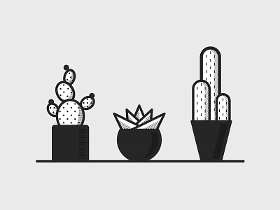 Pricks | pt. 1 cacti cactus desert geometric plants simple succulents