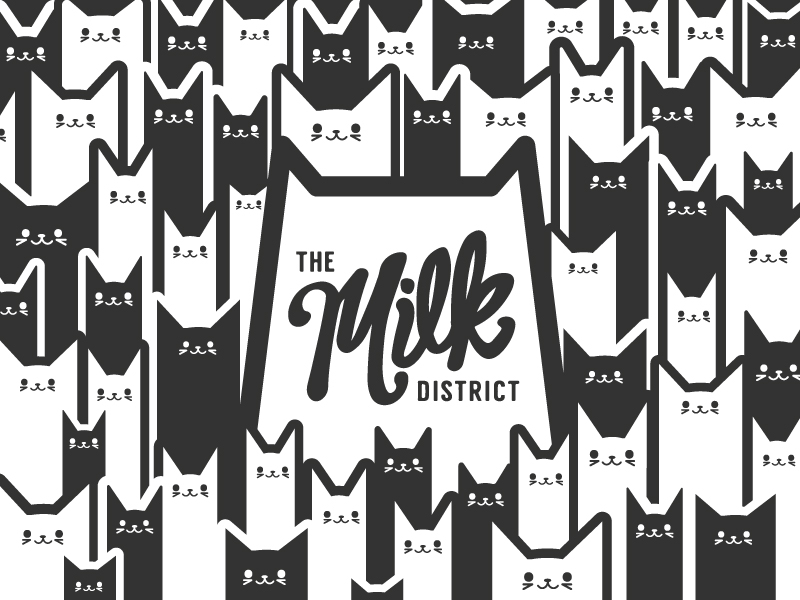 Cat Concept cat cats milk district orlando