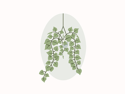 Heartleaf Philodendron caseyillustrates hanging heart house plant houseplants leaves minimal philodendron plant planter plants print design vector