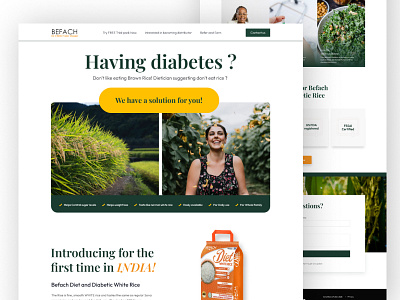 Diabetes Rice website branding business clean concept design e commerce graphic design ui ux website