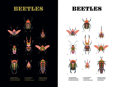 BEETLES beetles bugs colour design flat print graphic design illustration nature poster