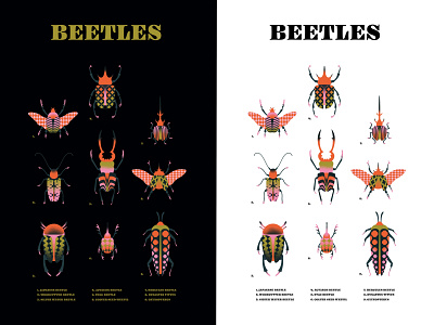 BEETLES