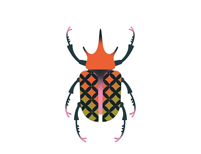 Actaeon beetle beetles bugs colour design flat print gradient graphic design illustration shapes vector