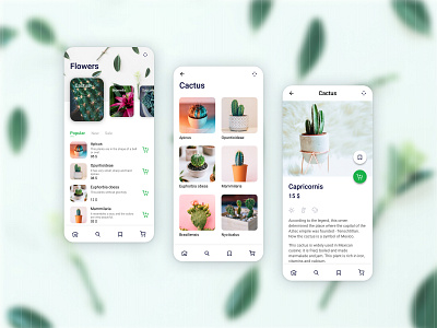 Flower shop app app design apps cacti cactus flower flowers mobile plant plants shop shopping app succulent succulents ui ui ux ui design user interface web design white