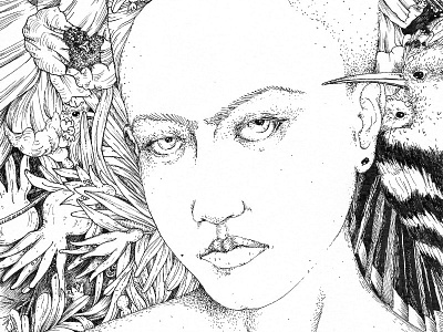 Pomegranate Frida black and white dream frida hoopoe ink jungle kahlo linework