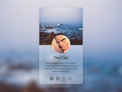 The Csiz Profile css design html macaw profile thecsiz