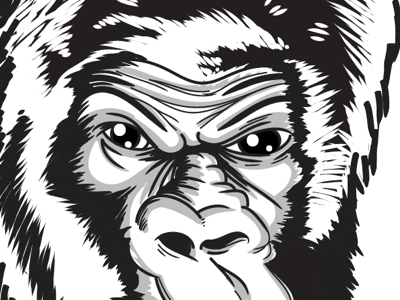 Gorilla illustration