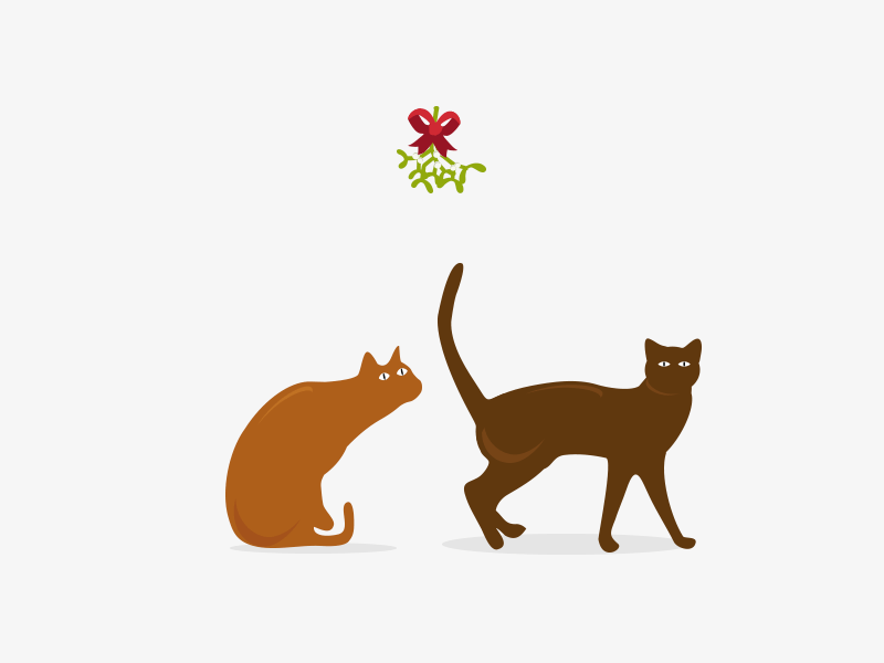 Cat Mistletoe