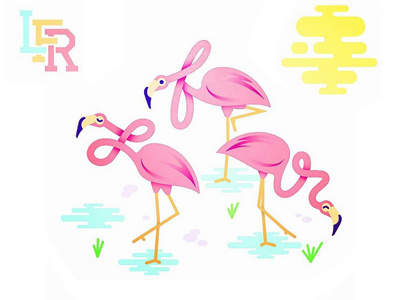 LFR Flamingos animal flamingo illustration lettering summer typography