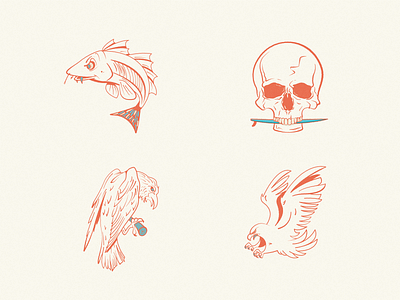 Blackbird Illustrations bird design fish hawk illustration raven red rough skull surf texture