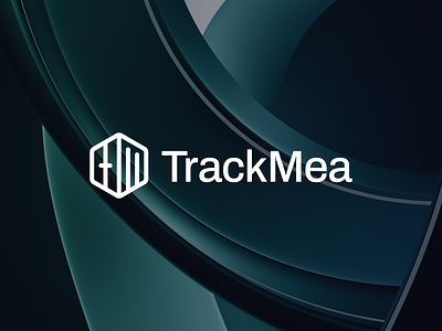 TrackMea - Visual Identity branding design graphic design icon illustration logo typography ui ux vector