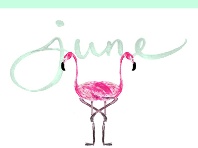 June Flamingo watercolor