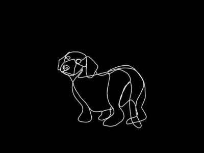 wiener dog illustration line art