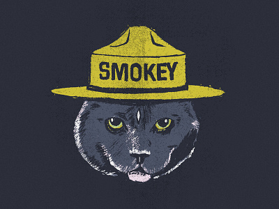 Smokey Cat cat illustration pet portrait smokey