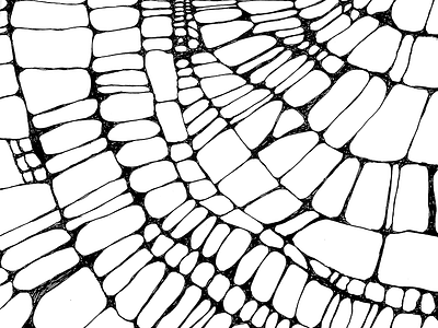 Web drawing bw creepy digital draw drawing hand drawn lines net pencil spider web