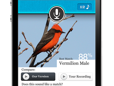 Pipio Results Screen audio bird iphone recording