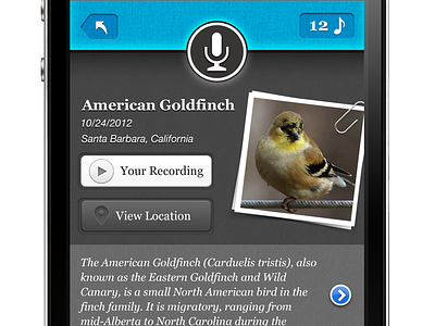 Pipio Bird Profile audio bird iphone recording