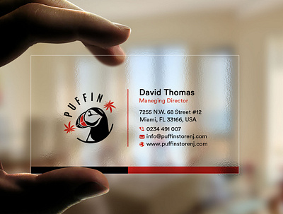 Business Card branding design graphic design illustration logo