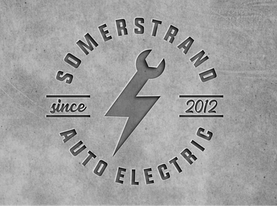 Auto Electric Logo Design branding design graphic design logo