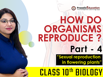 Sexual reproduction in flowering plants | CLASS 10 CBSE CHAPTER asexualreproduction femaleproductiveflower learningapp organismreproduce partsofflower pollination praadisedu praadiseducation threeagentsofpollination