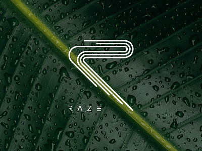 R A Z E Logo - Advertising Company ads advertising branding graphic design illustrator logo logo design marketing photoshop rays