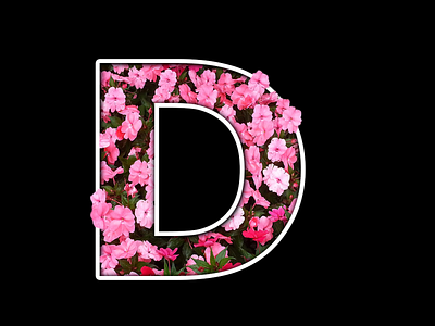 Floral Typography in Photoshop branding design graphic design illustration typography
