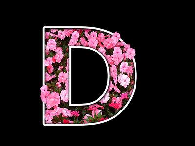 Floral Typography in Photoshop