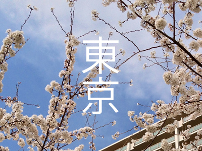 Tokyo! blossom blue building cherry flower kanji sakura sky spring tokyo 東京