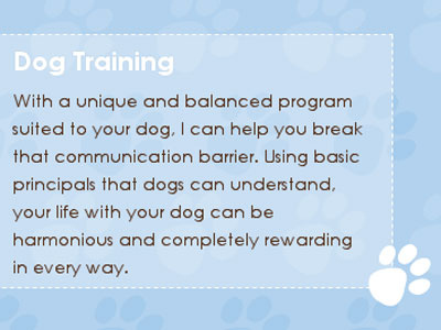 Dog Training blue pawprints