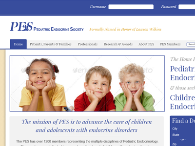 PES Site Design site design website