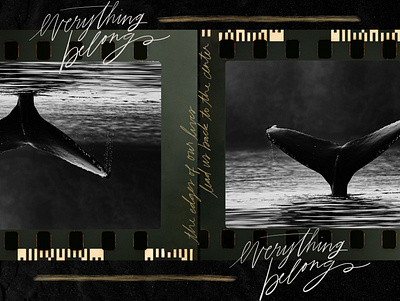 everything belongs 100 day project collage design digital collage digital lettering lettering procreate typography