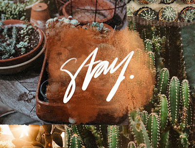 stay 100 day project collage digital collage digital lettering earth lettering procreate typography