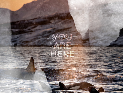 you are here 100 day project collage design digital collage digital lettering earth environmental lettering procreate typography