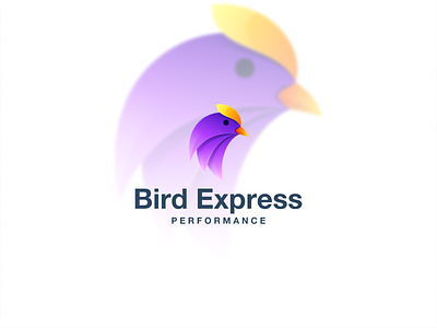 BIRD EXPRESS animal bird branding color design dubai graphic design icon illustration kuwait lineart logo nyc usa vector