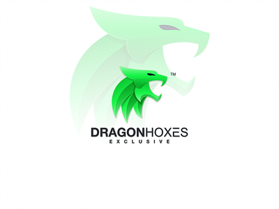 DRAGONHOXES branding color design dragon graphic design icon identity illustration lineart logo vector