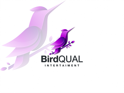 BIRDQUAL bird branding color design graphic design icon illustration lineart logo vector