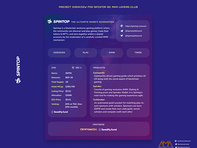 Blockchain project overview for Spintop blockchain crypto design infographics