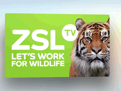 Zoological Society of London TV - tvOS icon apple icon ios london paralax poster tv tvos zoo