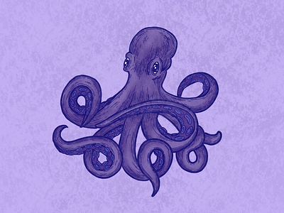 Octopus drawing illustration octopus procreate procreateart purple