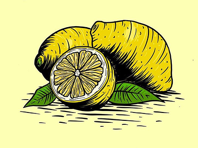 Lemon sketch drawing fruit illustrate illustration lemon procreate sketch