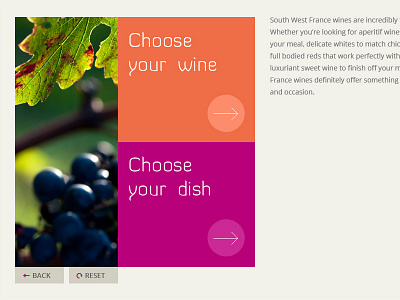 Wine pairing widget arrows bright buttons flat widget wine