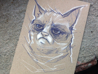 I drew Grumpy Cat... bic cat charcoal drawing grumpy pen sketch