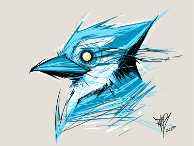 quick bluejay on the cintiq bird bluejay cintiq drawing