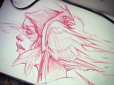 cardinal girl sketch